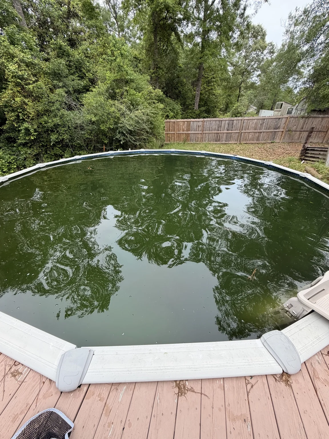 Above-Ground Pool Recovery before Green-to-Clean service