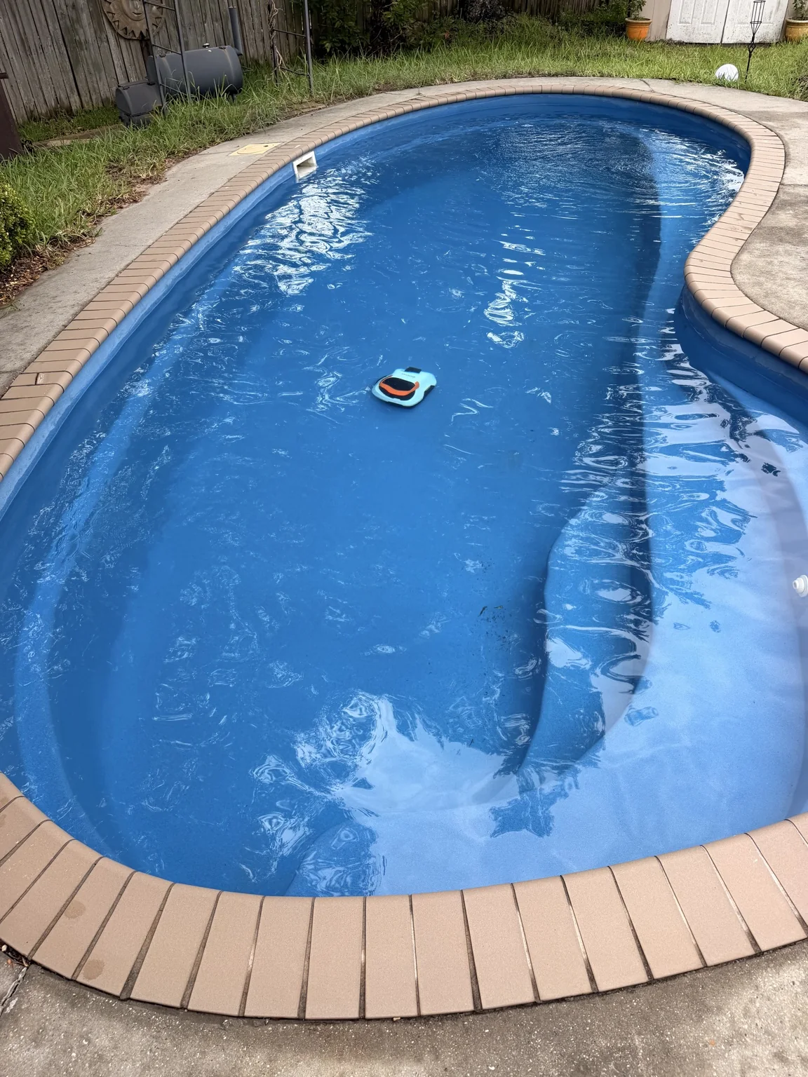 Backyard Pool Restoration after Green-to-Clean service