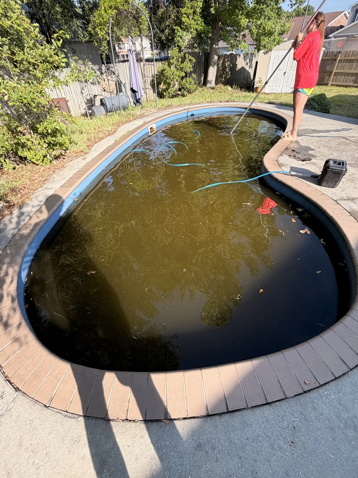 Backyard Pool Restoration before Green-to-Clean service