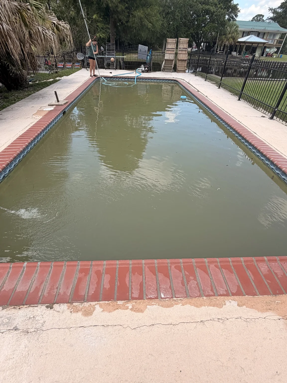 Residential Pool Recovery before Green-to-Clean service