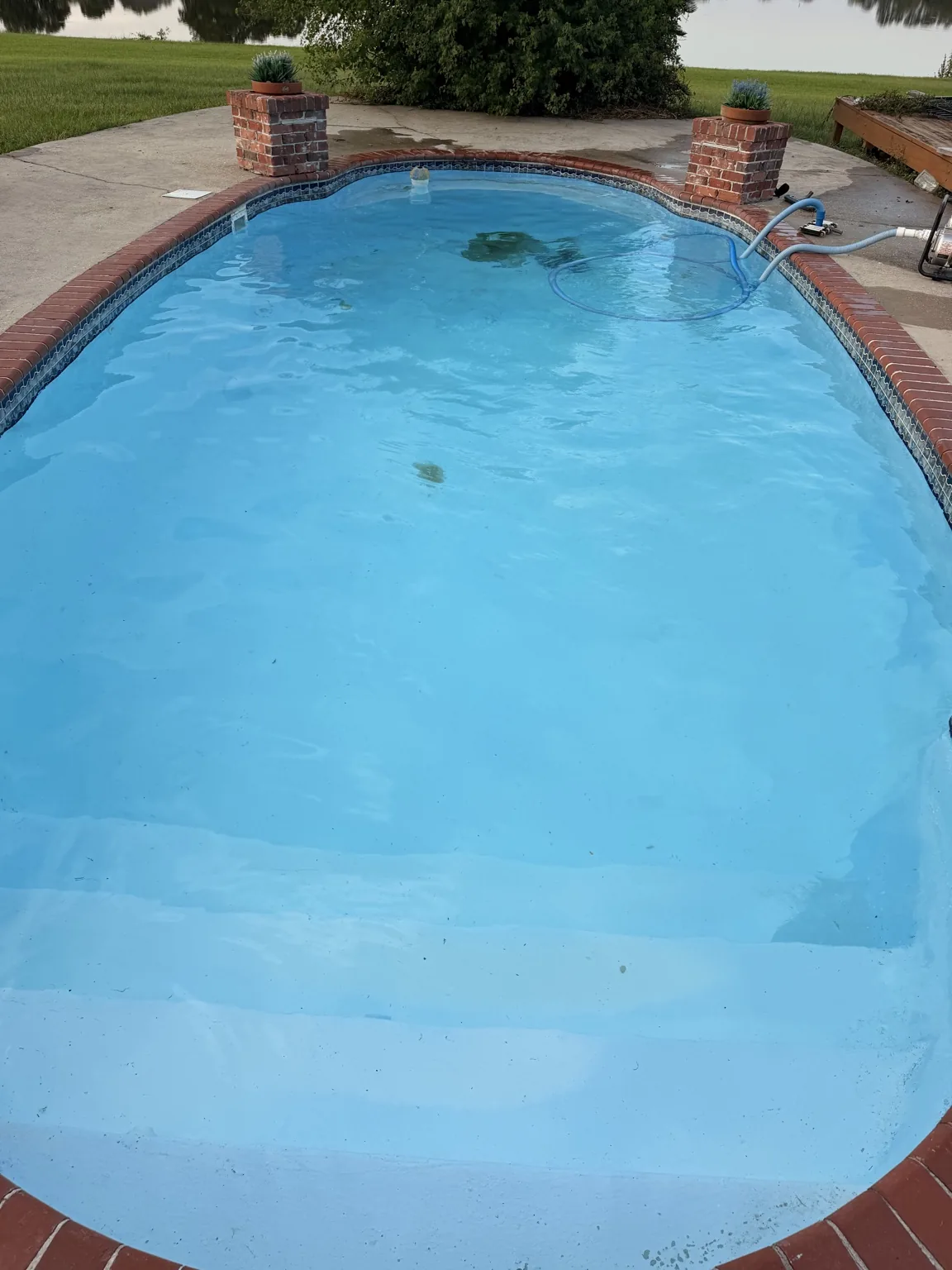 Green pool before restoration